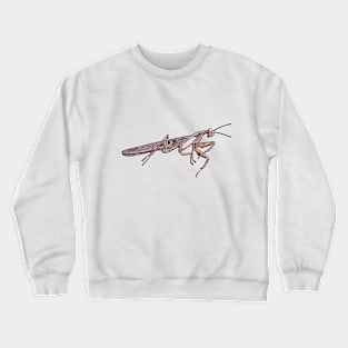 Rhombodera kirbyi male Crewneck Sweatshirt